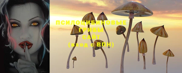 герыч Володарск